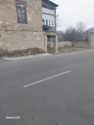 “Canişin”in ən ağıllı məsləhəti və çözüm təklifi FOTO
