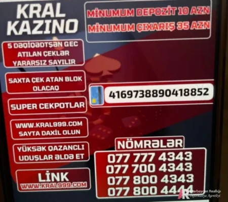 Qanunsuz kazino oyunları Azərbaycandan idarə edilir?