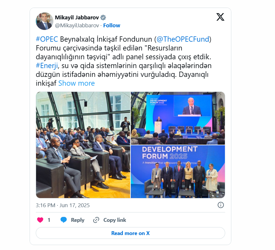 Mikayıl Cabbarov: "İqlim fəaliyyətini sürətləndirən tərəfdaşlıqların gücləndirilməsi önəm kəsb edir"