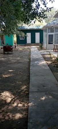 Meşə Təsərrüfatında Qanunsuzluq: Kimlər Məsuliyyətdən Qaçır?