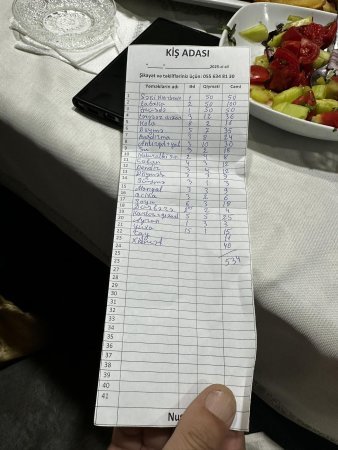 Şəkidə “Kiş Adası”nda camatı QUŞ YERİNƏ qoyub... QAZ KİMİ YOLURLAR... - BU NƏDİ BELƏ?