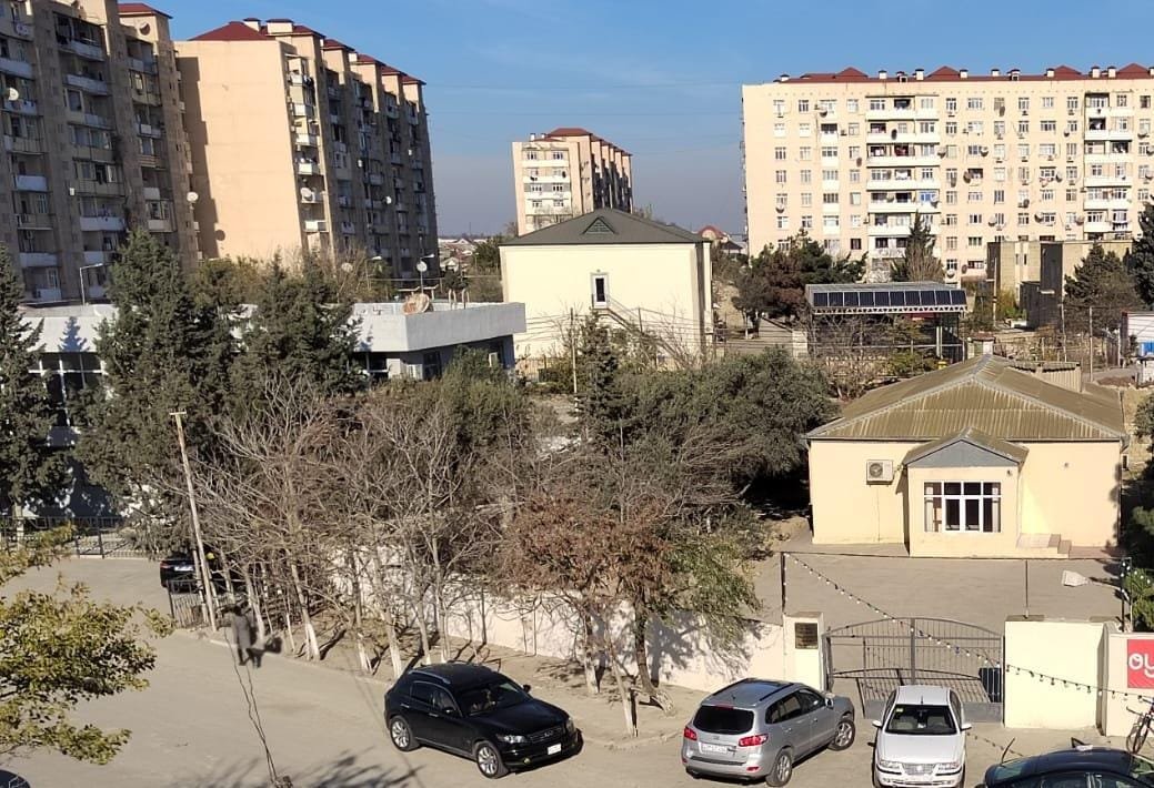 Hövsanda Bələdiyyə sədri Seymur Rəsulov yaşıl ağacları niyə kəsdirib?-Videofakt