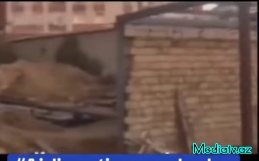 Binəqədidə QANUNSUZ tikintilər kimlərin maraqlarına xidmət edir ?-FOTOLAR