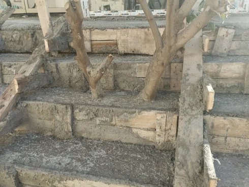 Abidinin "QARA JEK" REZALETİ: Ağacları diri-diri betonlayıb, sakinlərin üzünə qapı qıfılladılar