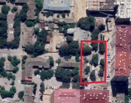 Orbita MTK ağacları kəsərək tikinti işləri aparıb - FOTOLAR