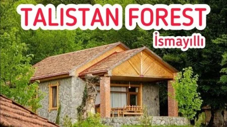 İsmayıllının icra başçısının müavini meşə ərazisini zəbt edib - FOTOLAR