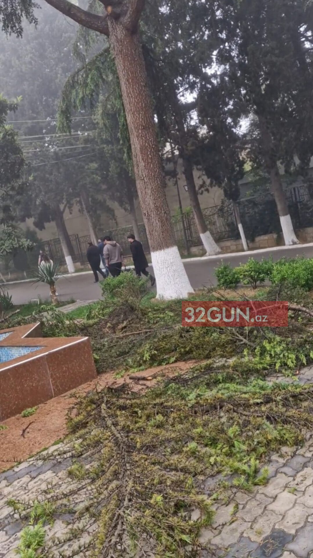 Azərbaycan Texnologiya Universitetində "EKOLOJİ TERROR": Rektor Yaşar Ömərov yaşıllıqları məhv etdirir? - FOTO+VİDEOFAKT